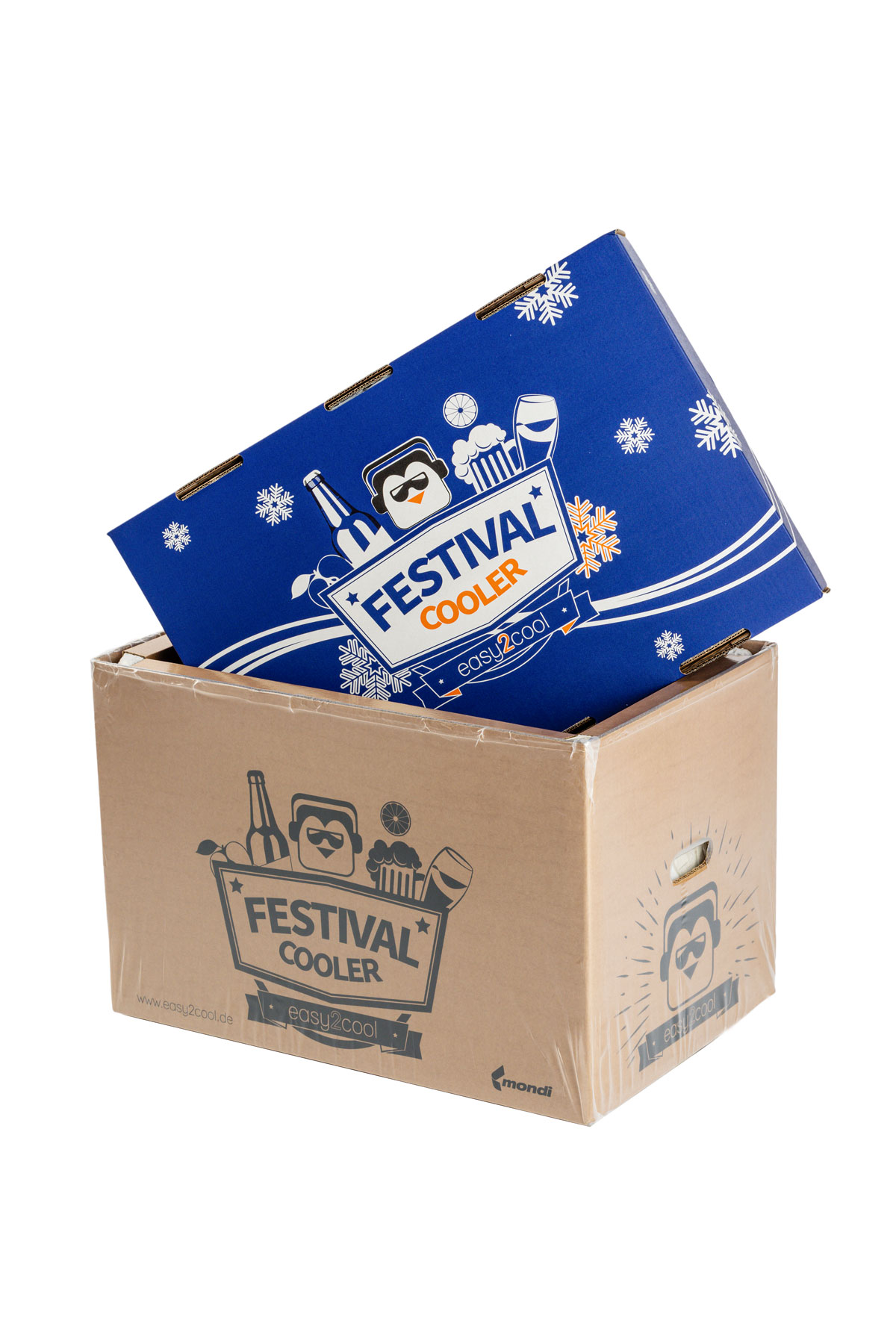 Festival best sale cool box